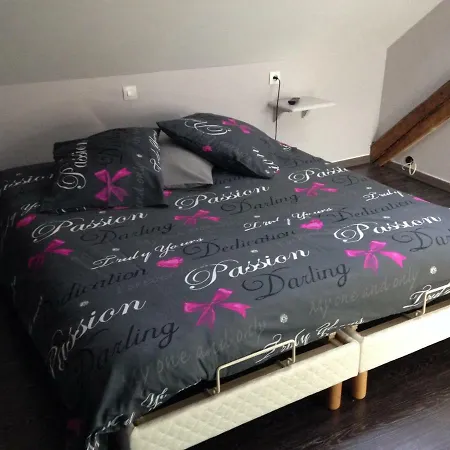 Chez Anick Et Christophe Apartment *